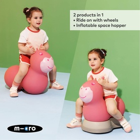 Micro Ride on Space Hopper