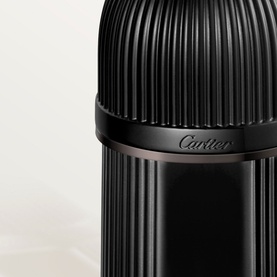 Pasha Noir Absolu