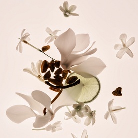 Missing Person Body Lotion