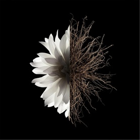 L'Interdit Eau de Parfum