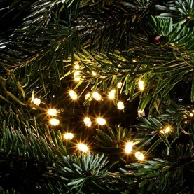 Noma 240 Warm White LED String Lights draped on dark green Christmas tree branches, glowing warmly with green cable visible
