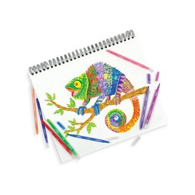 Switch-Eroo Colour Changing Markers