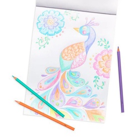 Pastel Hues Colouring Pencils