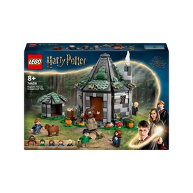 Hagrid's Hut An Unexpected Visit