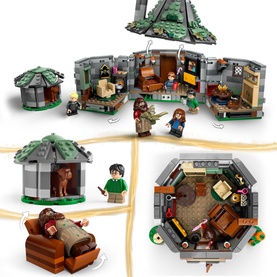 Hagrid's Hut An Unexpected Visit
