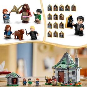 Hagrid's Hut An Unexpected Visit