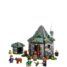 Hagrid's Hut An Unexpected Visit
