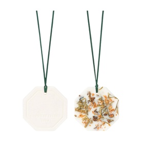 Winter Forest Botanical Palet Two-Piece Set