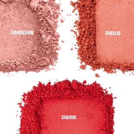 Chocolotta Blush Mini Blush Palette