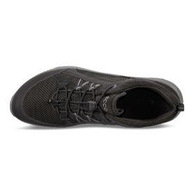 Terracruise Trainers