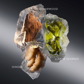 Le Sel d&rsquo;Issey Eau de Toilette