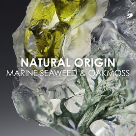 Le Sel d&rsquo;Issey Eau de Toilette