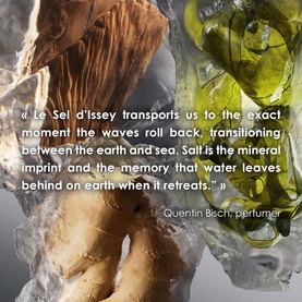 Le Sel d&rsquo;Issey Eau de Toilette