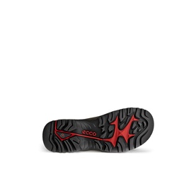 Offroad Hiking Trainers