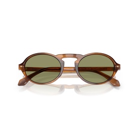 Oval Sunglasses AR8219U