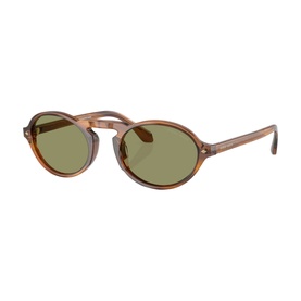 Oval Sunglasses AR8219U
