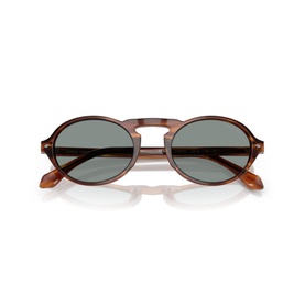 Oval Sunglasses AR8219U