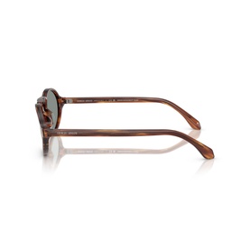 Oval Sunglasses AR8219U
