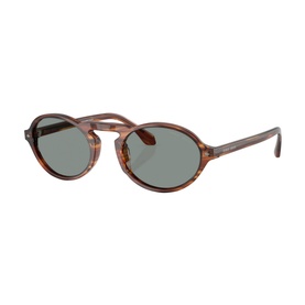 Oval Sunglasses AR8219U