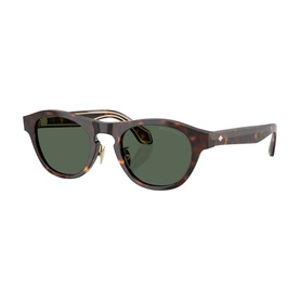 Oval Sunglasses AR8225