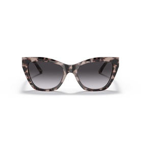 Cat Eye Sunglasses EA4176
