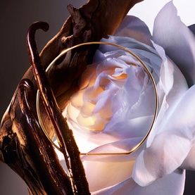 Rose on the Moon Eau de Parfum