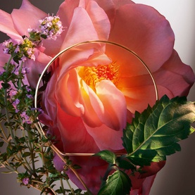 Hot as Rose Eau de Parfum