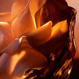 Oud Bouquet Eau de Parfum