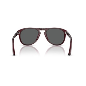 Pilot Sunglasses PO0714
