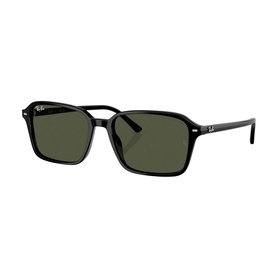 Square Sunglasses RB2231