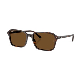 Square Sunglasses RB2231