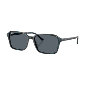 Square Sunglasses RB2231