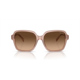Square Sunglasses RA5304U