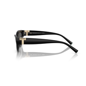 Oval Sunglasses TF4225U