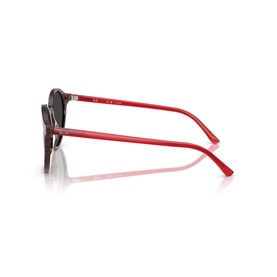 Phantos Sunglasses RB2230