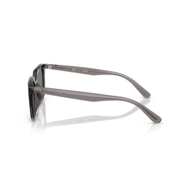 Square Sunglasses RB4439D