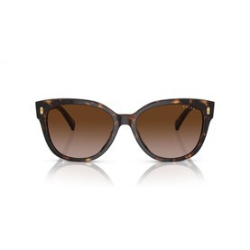 Cat Eye Sunglasses RA5305U