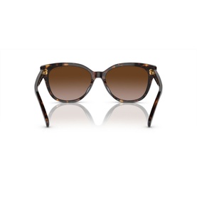Cat Eye Sunglasses RA5305U