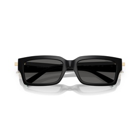 Rectangle Sunglasses TF4226U