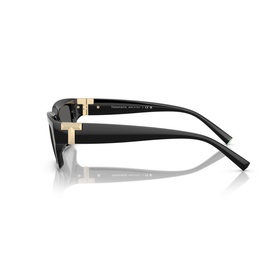 Rectangle Sunglasses TF4226U