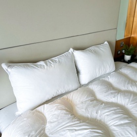 Pure Comfort Anti-Allergy Firm Support Pillow Pair