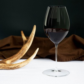 Set of Two Performance Syrah Wine Glass