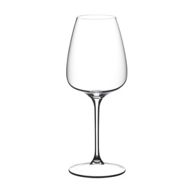 Set of Two White Wine Glass