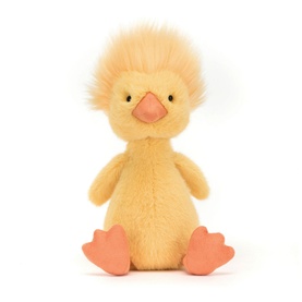Rockhopper Duck