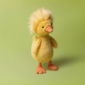 Rockhopper Duck