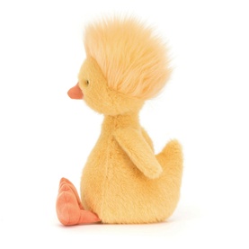 Rockhopper Duck