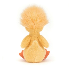 Rockhopper Duck