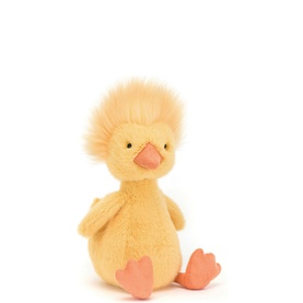 Rockhopper Duck