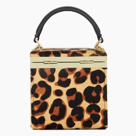 Everlong Leopard Box Bag