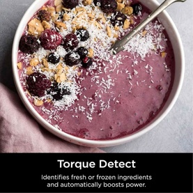 Detect Duo Power Blender Pro + Single Serve